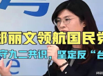 “坚守九二共识，坚决反对台独——郑丽文再发声”