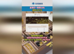 金饰价格飙升：1407元新纪录，投资与消费市场如何应对